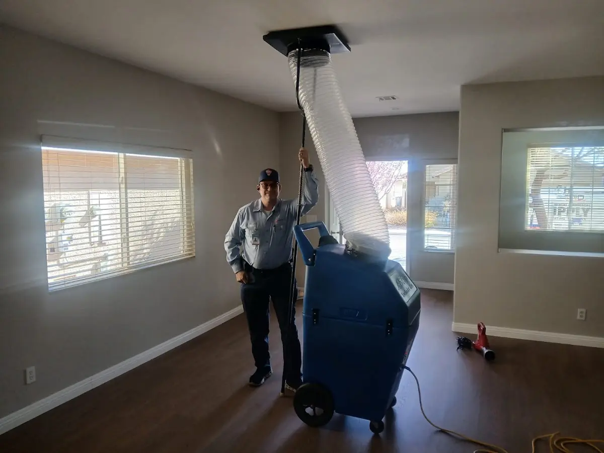 Professional Dryer Vent Cleaning work inside a Norwood home